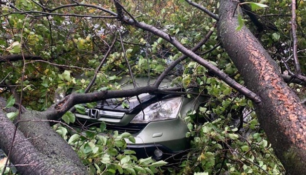 Через негоду в Черкасах зафіксували падіння близько 30 дерев (ФОТО)