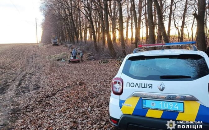 Черкаські правоохоронці виявили протягом року понад сотню фактів незаконної порубки дерев