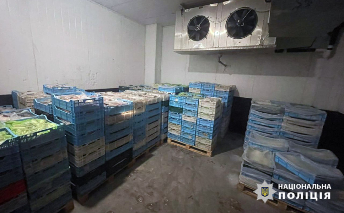 Збитки на понад 35 мільйонів гривень: на Черкащині викрили масштабну схему вилову риби