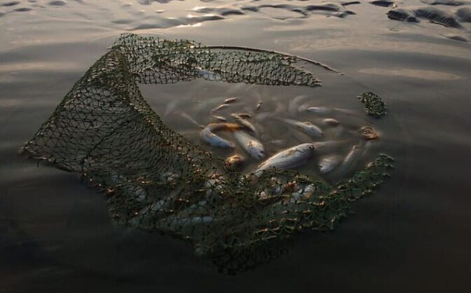 На Черкащині браконьєр наловив риби на понад 200 тисяч гривень