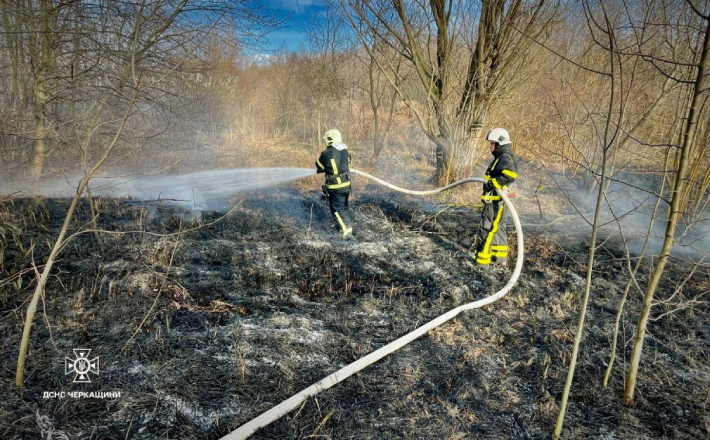 Чотири пожежі сухостою ліквідували рятувальники Черкащини
