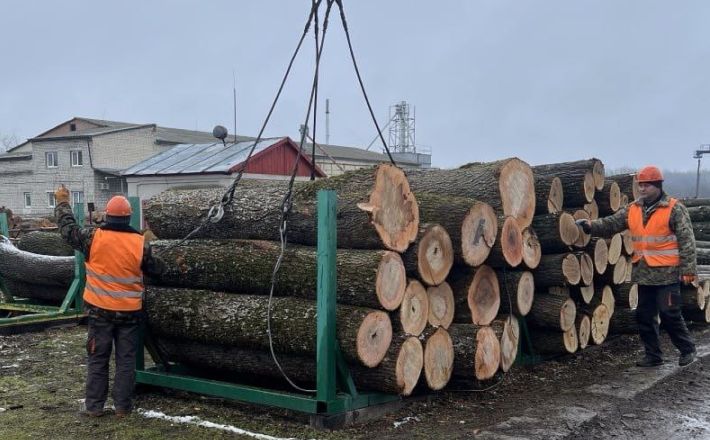 Агенти УУБ здійснили контроль відвантаження необробленої деревини новому власнику на Черкащині
