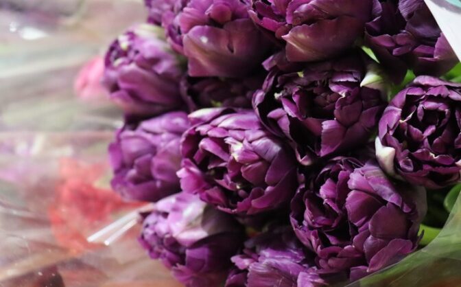 У Черкасах відбувся концерт “Весна іде, красу несе” (ФОТО)