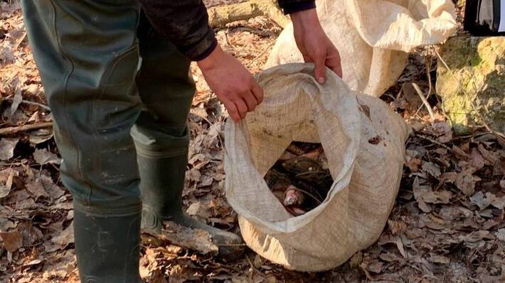 Черкащанин незаконно наловив риби на майже 400 тисяч гривень