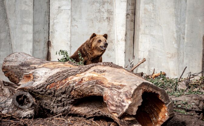Черкаський зоопарк — у сімці найкращих в Україні (ФОТО, ВІДЕО)