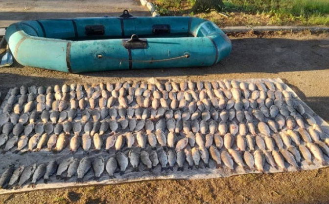 Збитків близько пʼять мільйонів: правоохоронці виявили понад 70 порушень правил рибальства