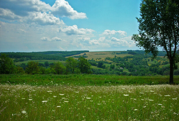 На Черкащині збережуть об’єкт природно-заповідного фонду