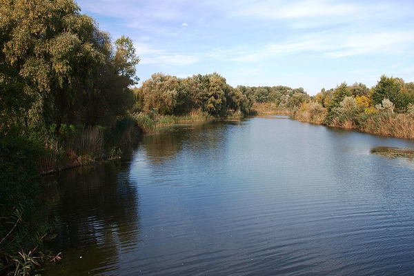 На Черкащині землю водного фонду, вартістю 400 мільйонів, намагалися передати приватному підприємству