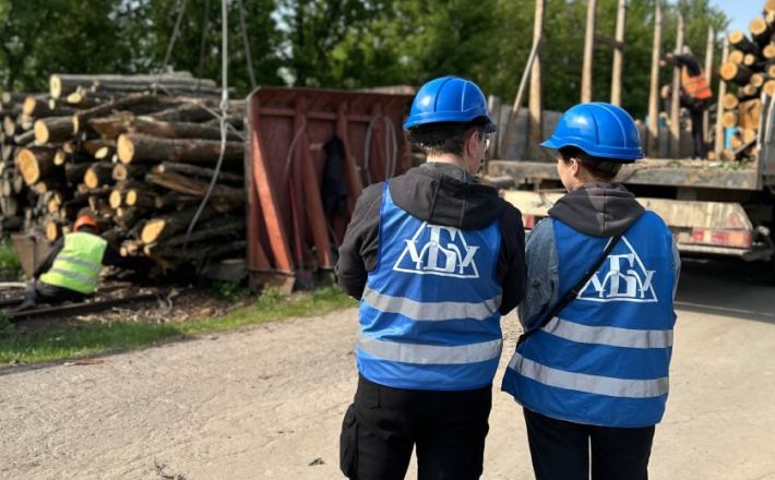 Агенти УУБ проконтролювали відвантаження реалізованої необробленої деревини покупцеві на Черкащині