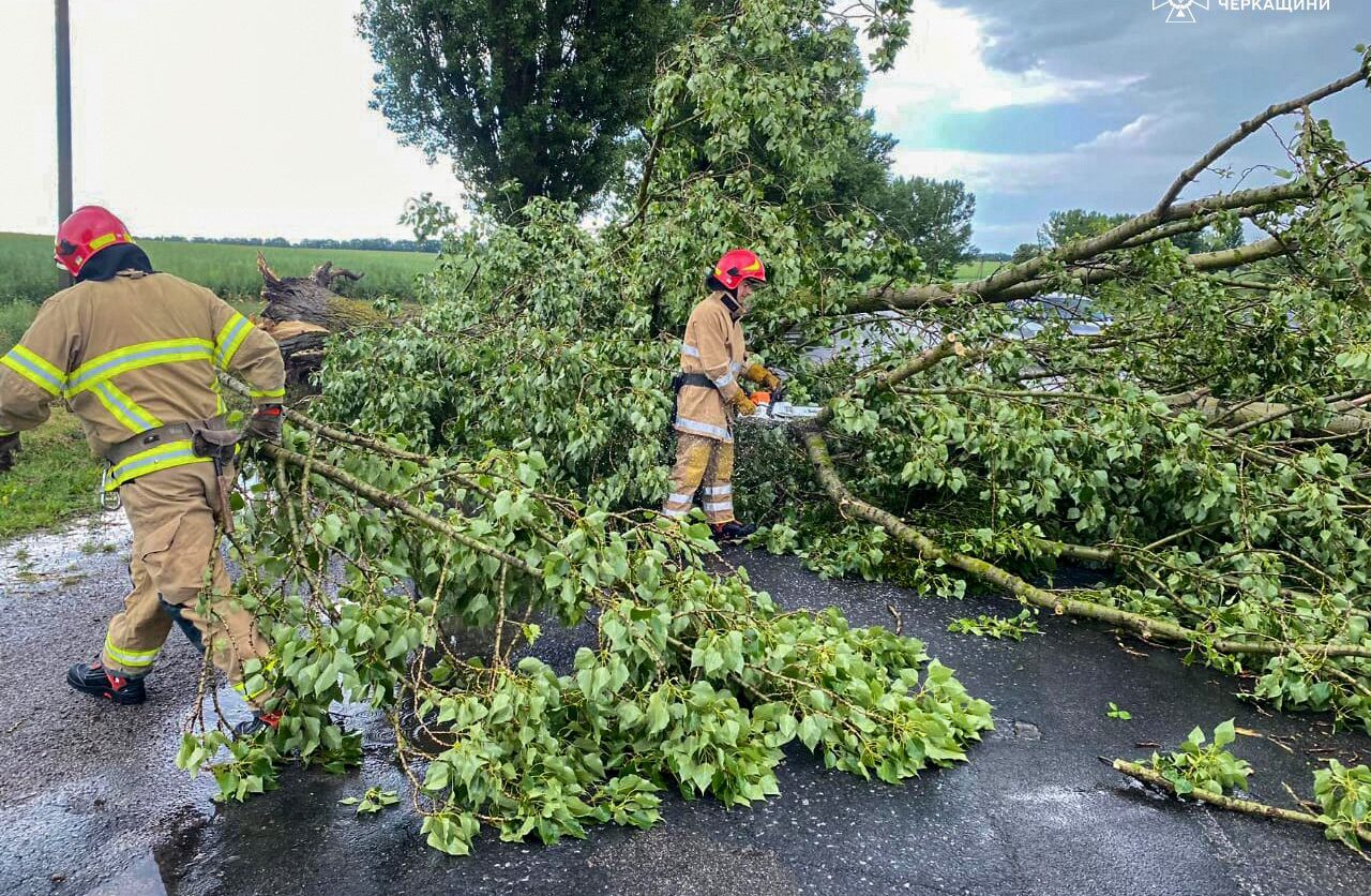 Через погіршення погоди на Звенигородщині дерева впали на проїжджу частину дороги