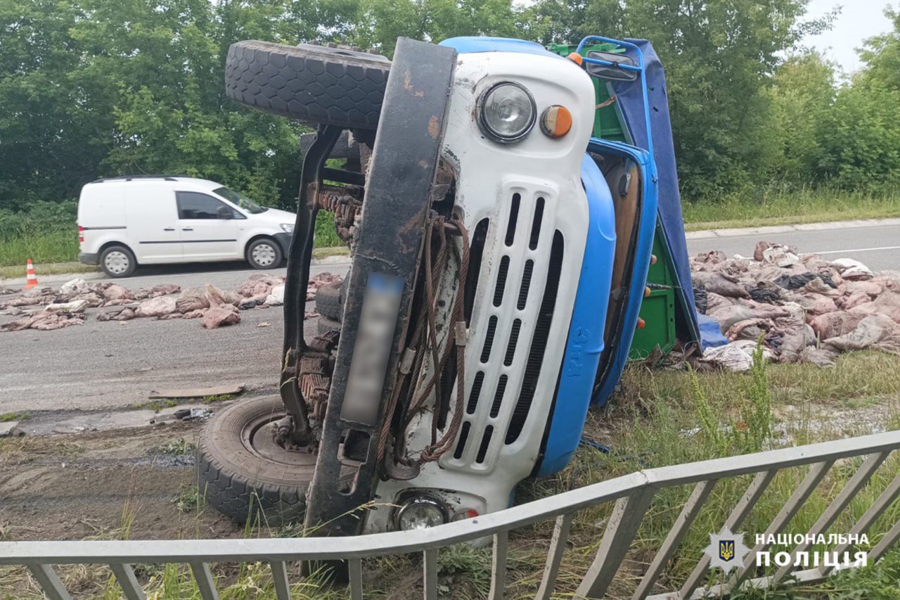 Дві тонни свиней висипалися на дорогу: стали відомі подробиці ДТП на Звенигородщині (ФОТО, ВІДЕО)