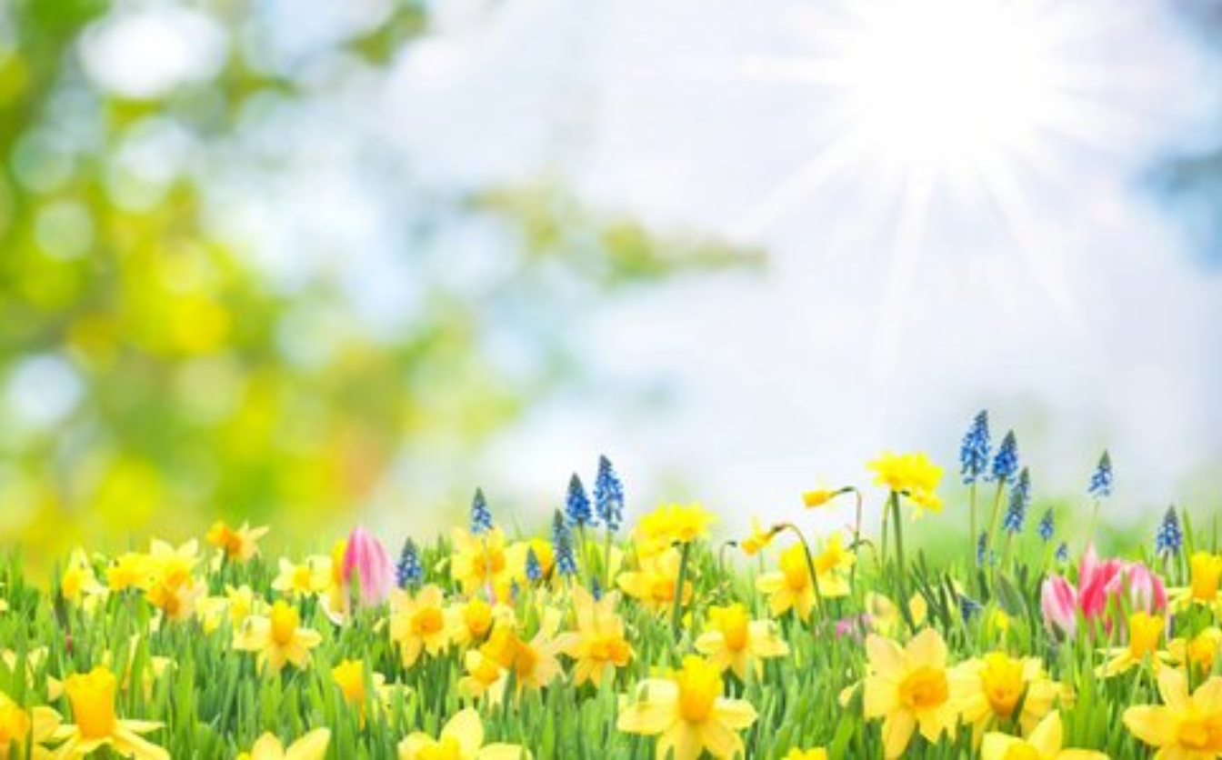 Сьогодні на Черкащині опадів не прогнозують