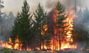 Пожежна небезпека триває на Черкащині