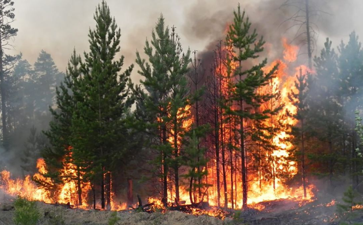 Фото тематичне