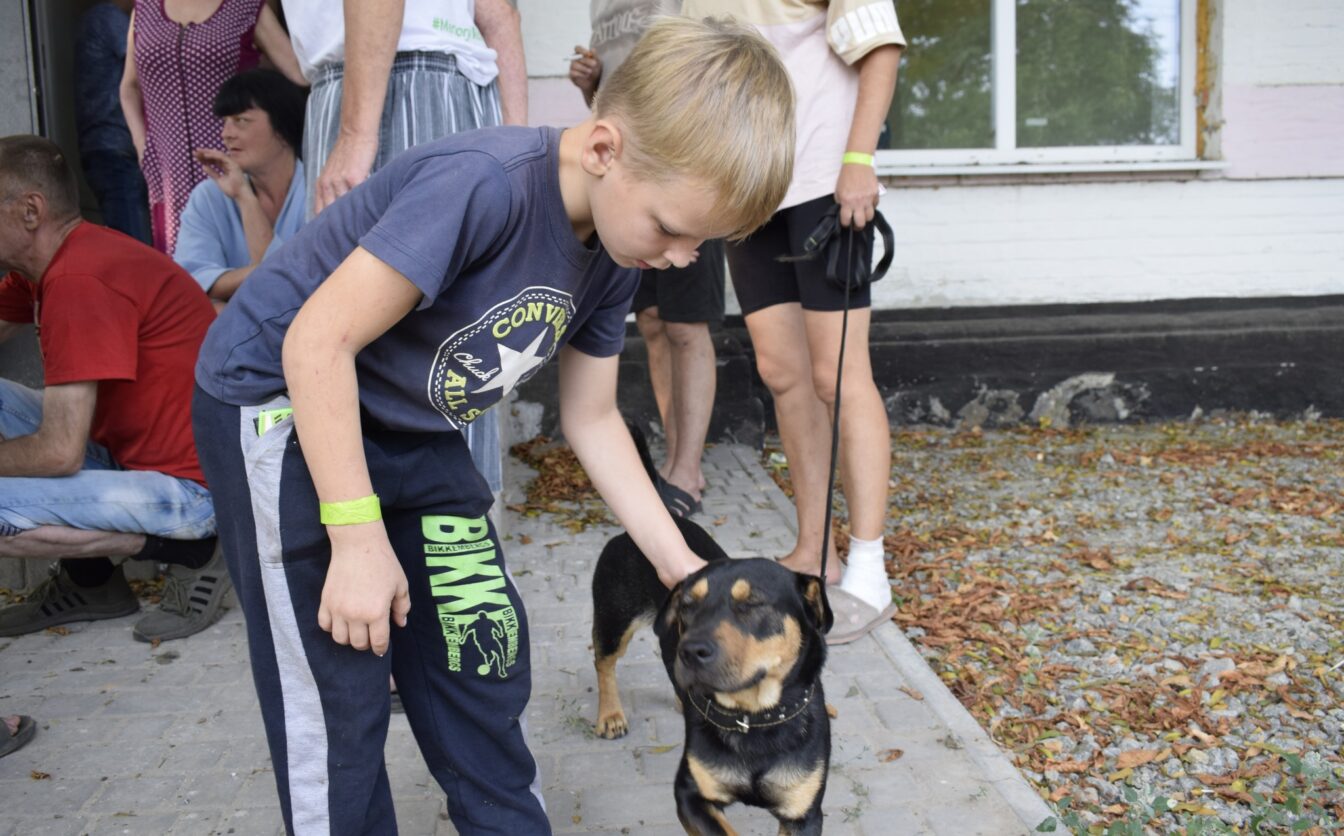 Кам’янка прийняла переселенців із Донеччини