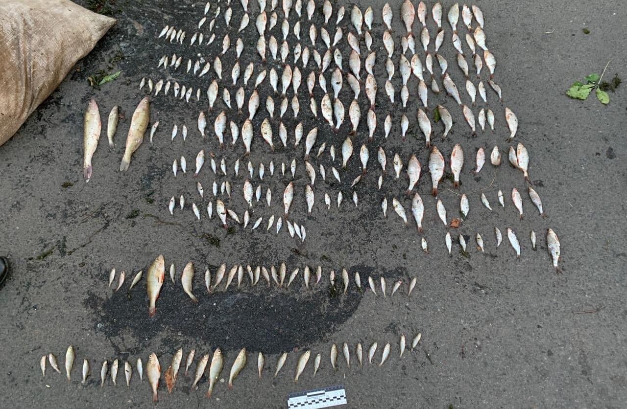 Черкащанин незаконно наловив риби на понад пів мільйона гривень