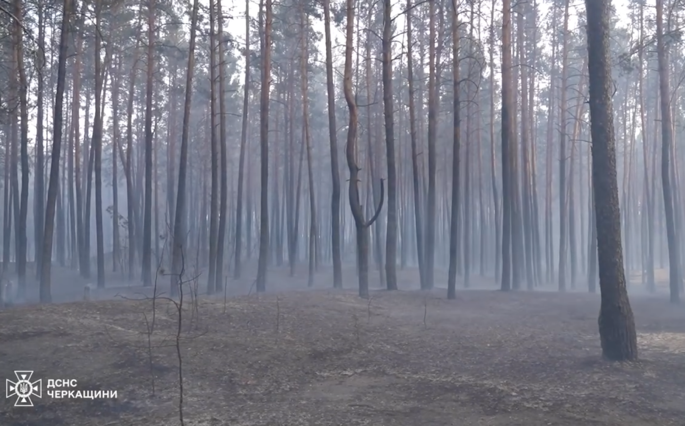 Через пожежі в екосистемах на Черкащині погіршилась якість повітря