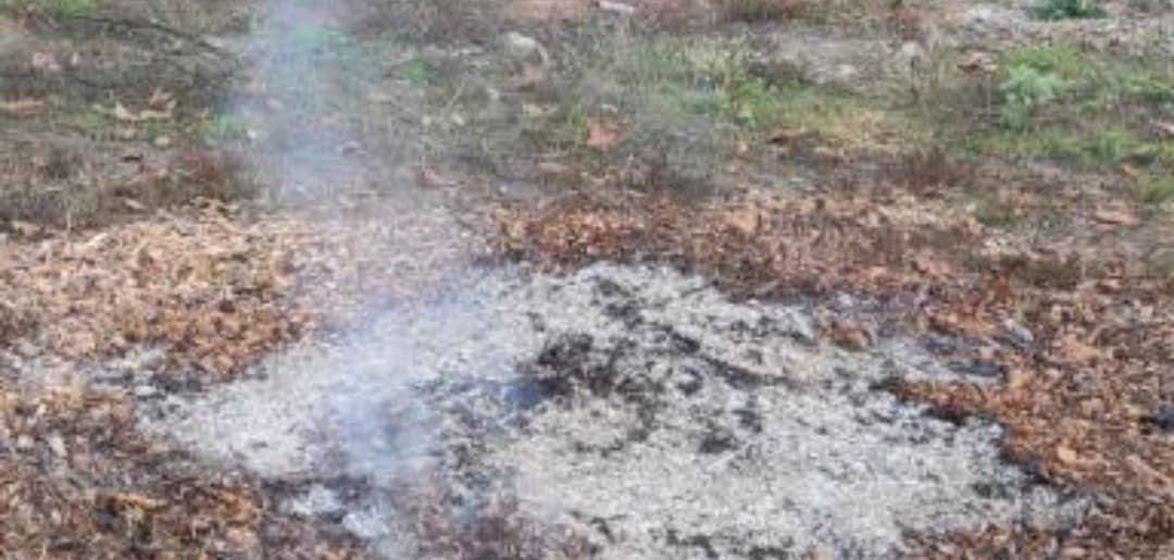 В одному з черкаських парків вандали ледь не спричинили пожежу (ФОТО)