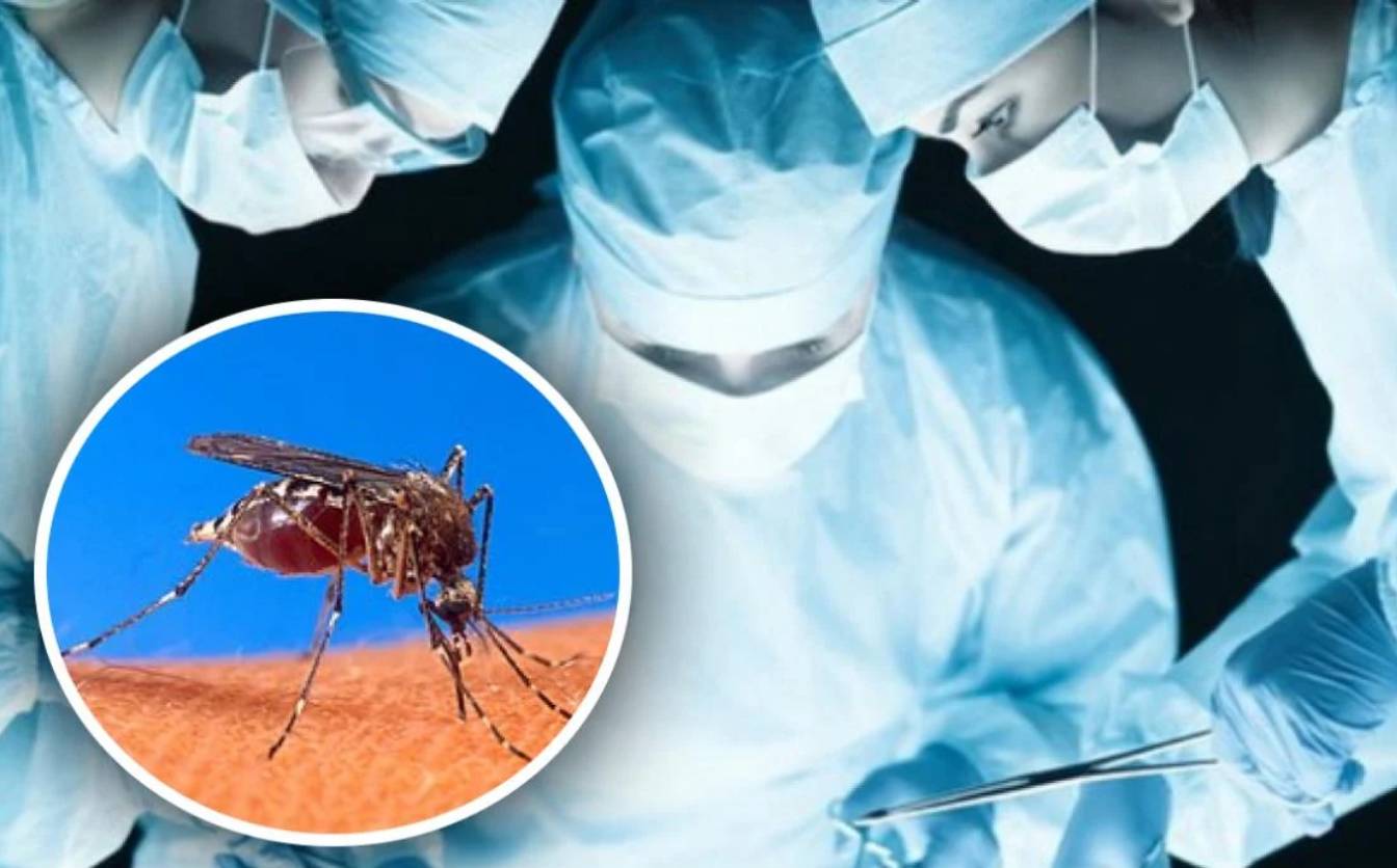 У Золотоніському районі оголошена надзвичайна ситуація через небезпечну вірусну хворобу