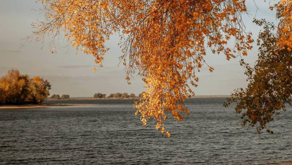 фото: Yulia Stusenko