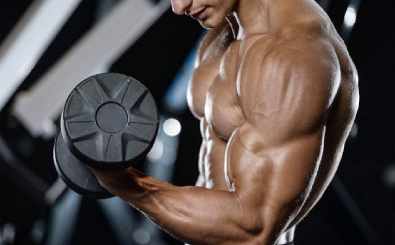 STShopUA (Steroids Shop): найкращий вибір для професійних спортсменів