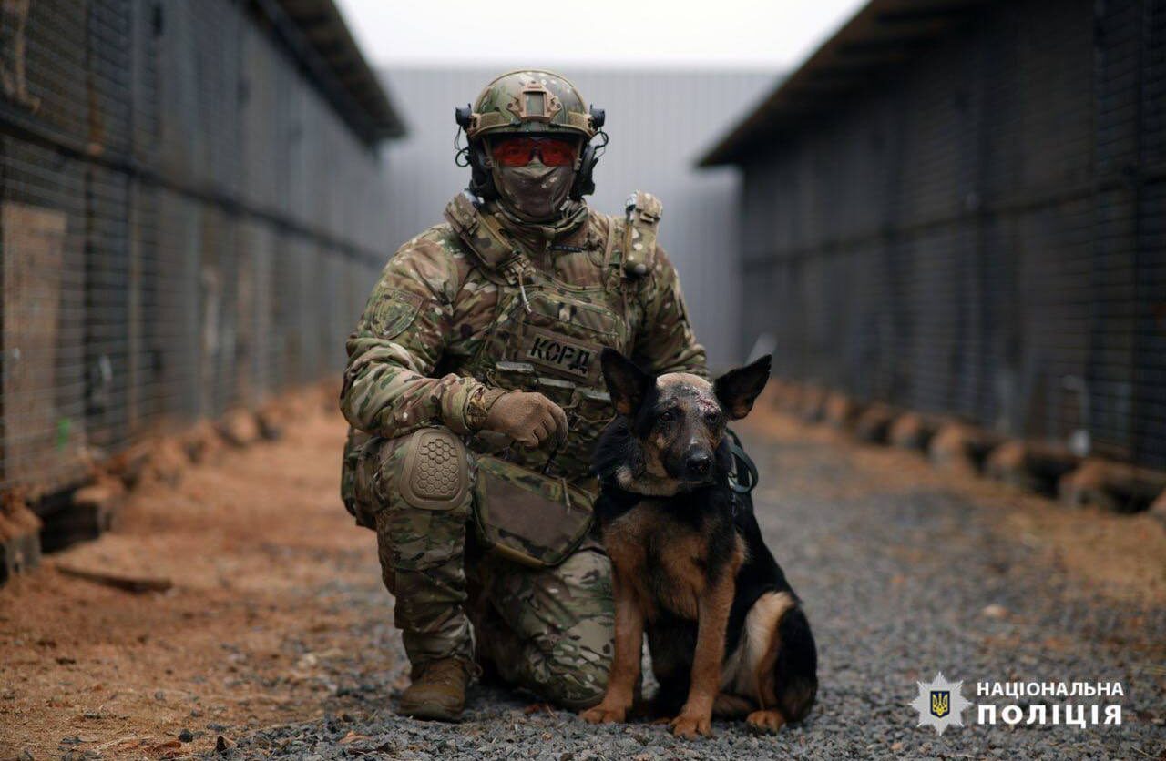 Торік черкащани прилаштували вдома близько 800 чотирилапих переселенців (ФОТО)