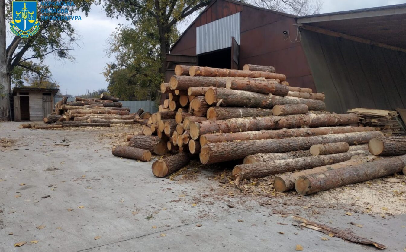 Судитимуть працівника лісгоспу та поліцейського, які крали деревину на Черкащині (ФОТО)