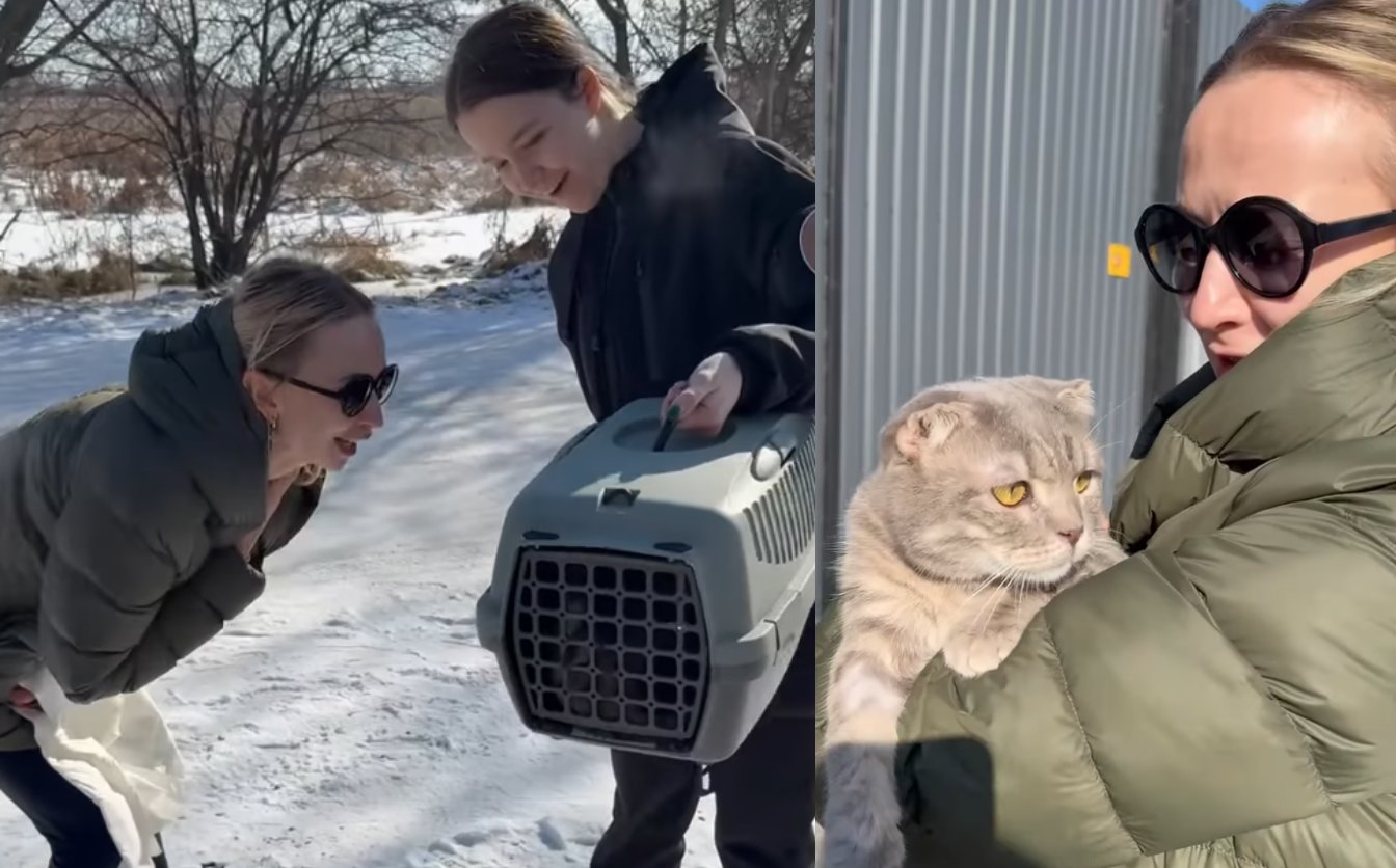 Українська акторка прихистила котика з Черкас