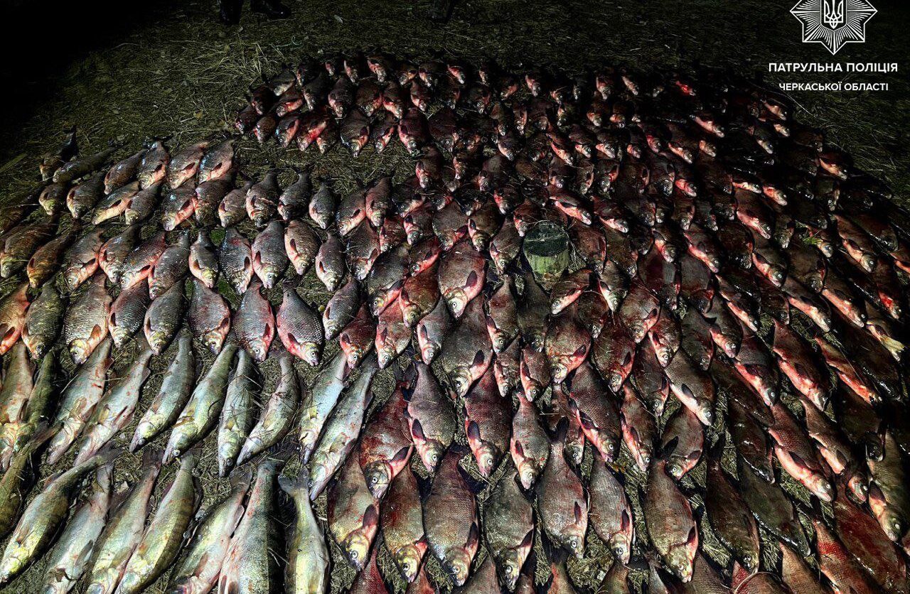 Черкащани незаконно наловили риби на майже 700 тисяч гривень (ФОТО