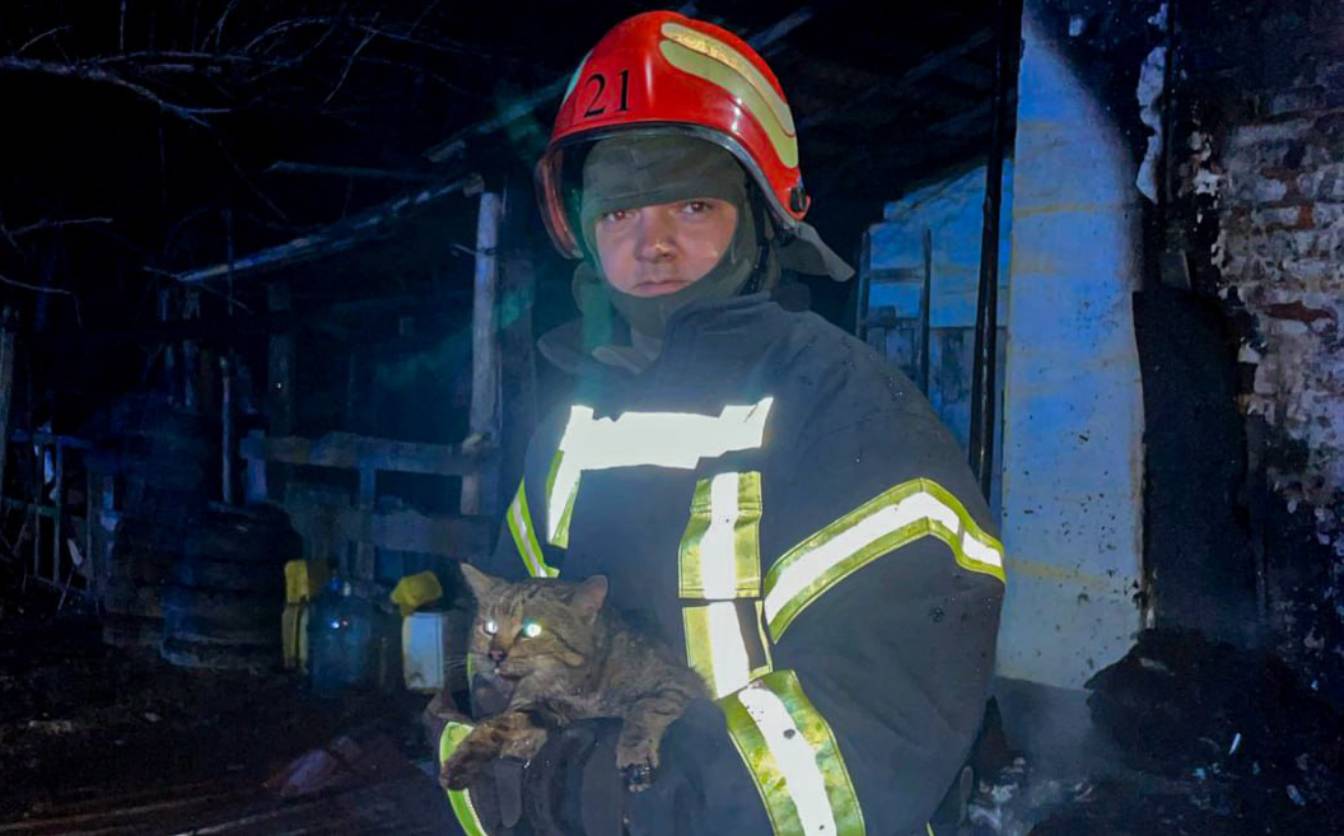 З пожежі на Маньківщині врятували пухнастика