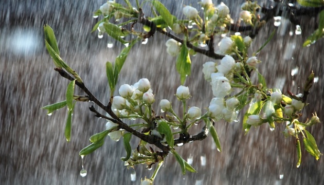 Грози й сильний вітер: синоптики розповіли про погоду завтра на Черкащині