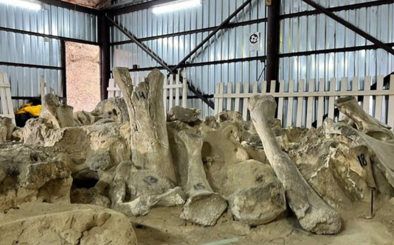 На Черкащині відтворять стоянку мисливців на мамонтів віком понад 14 тисяч років (ФОТО)