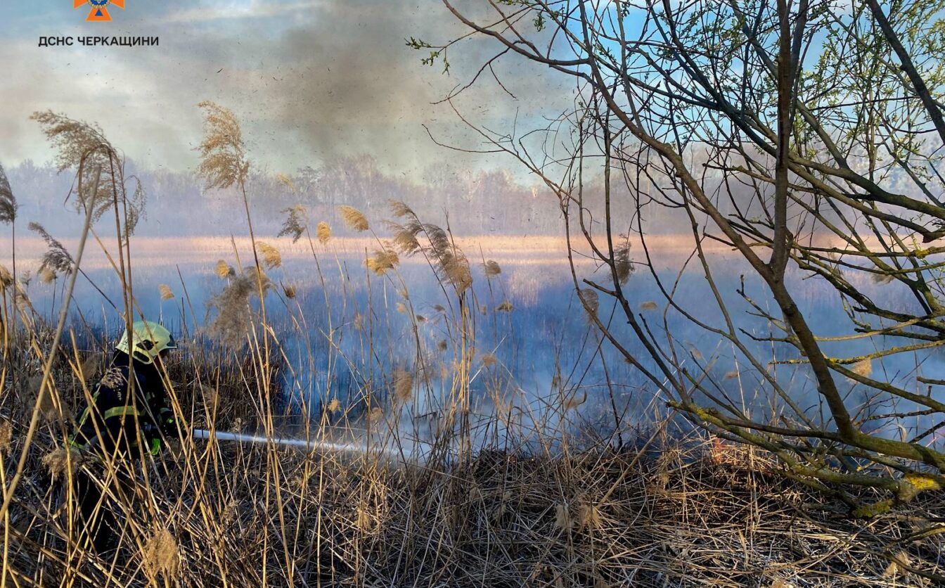 В екосистемах Черкащини за добу сталися понад 20 займань