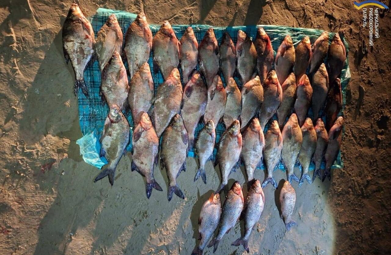 Черкащанин незаконно виловив 40 рибин на понад 60 тисяч гривень
