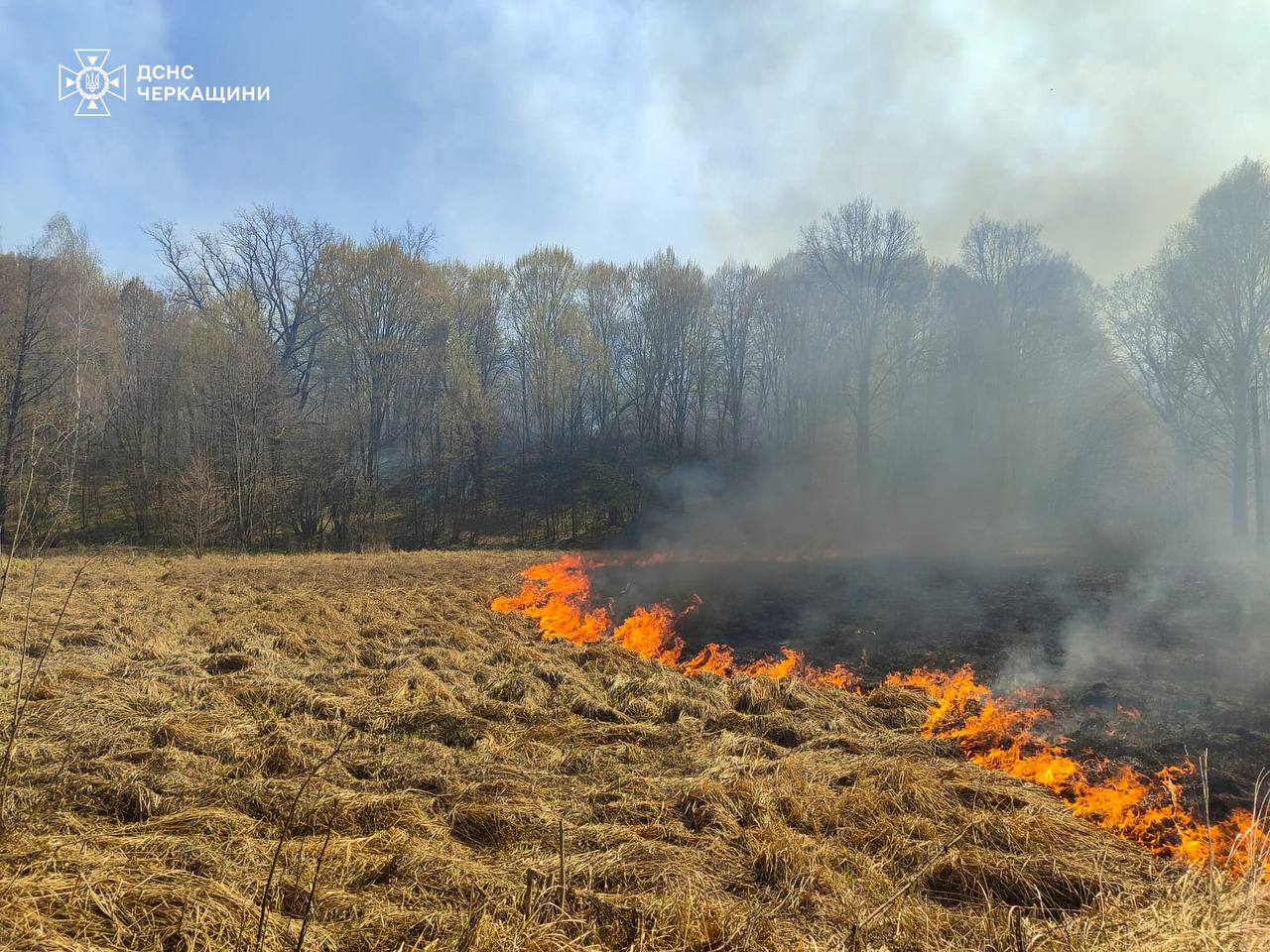 Вогнеборці ліквідували вчора на відкритих територіях Черкащини п’ять пожеж