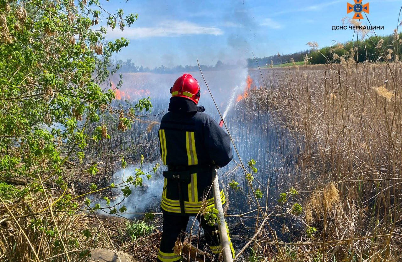 В екосистемах Черкащини сталися ще 14 пожеж