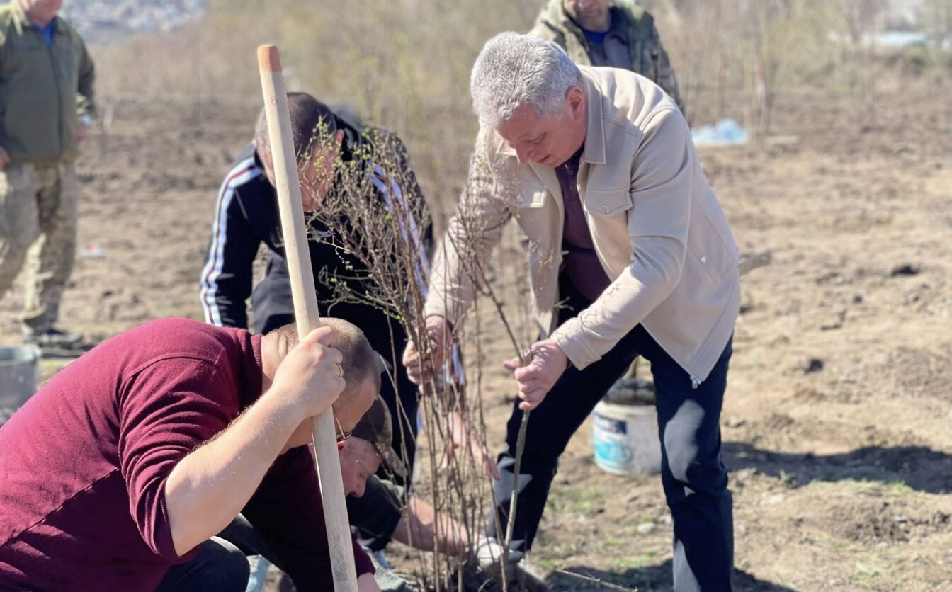 Замість смітника — зелена зона: в Тальному висадили понад 50 дерев