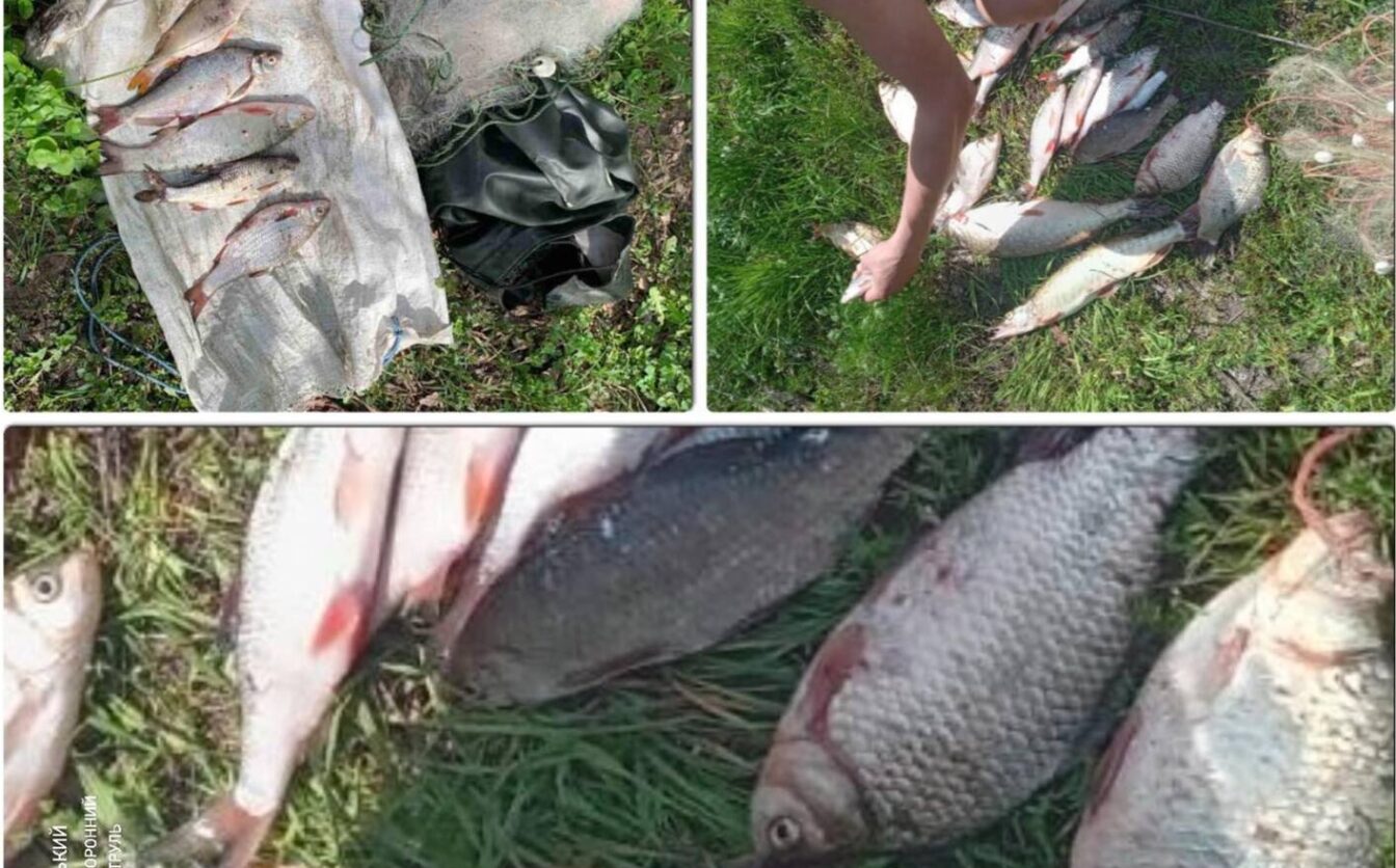 Лише за добу на Черкащині виявили три випадки порушення нерестової заборони