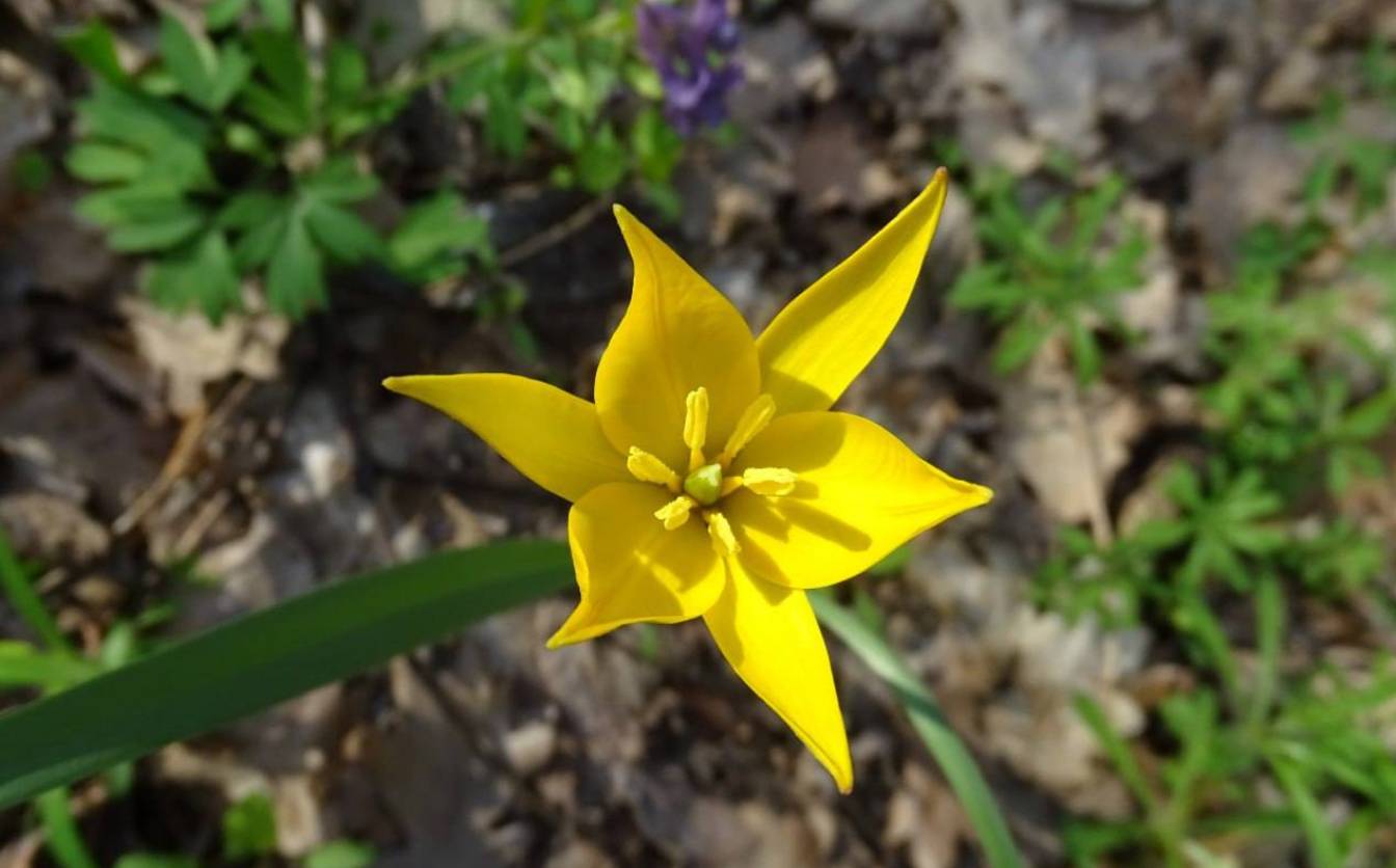 Фото Максим Гаврилюк