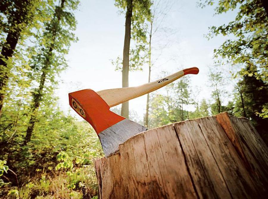 Голова одного з садових товариств Золотоніщини причетний до незаконної вирубки дерев