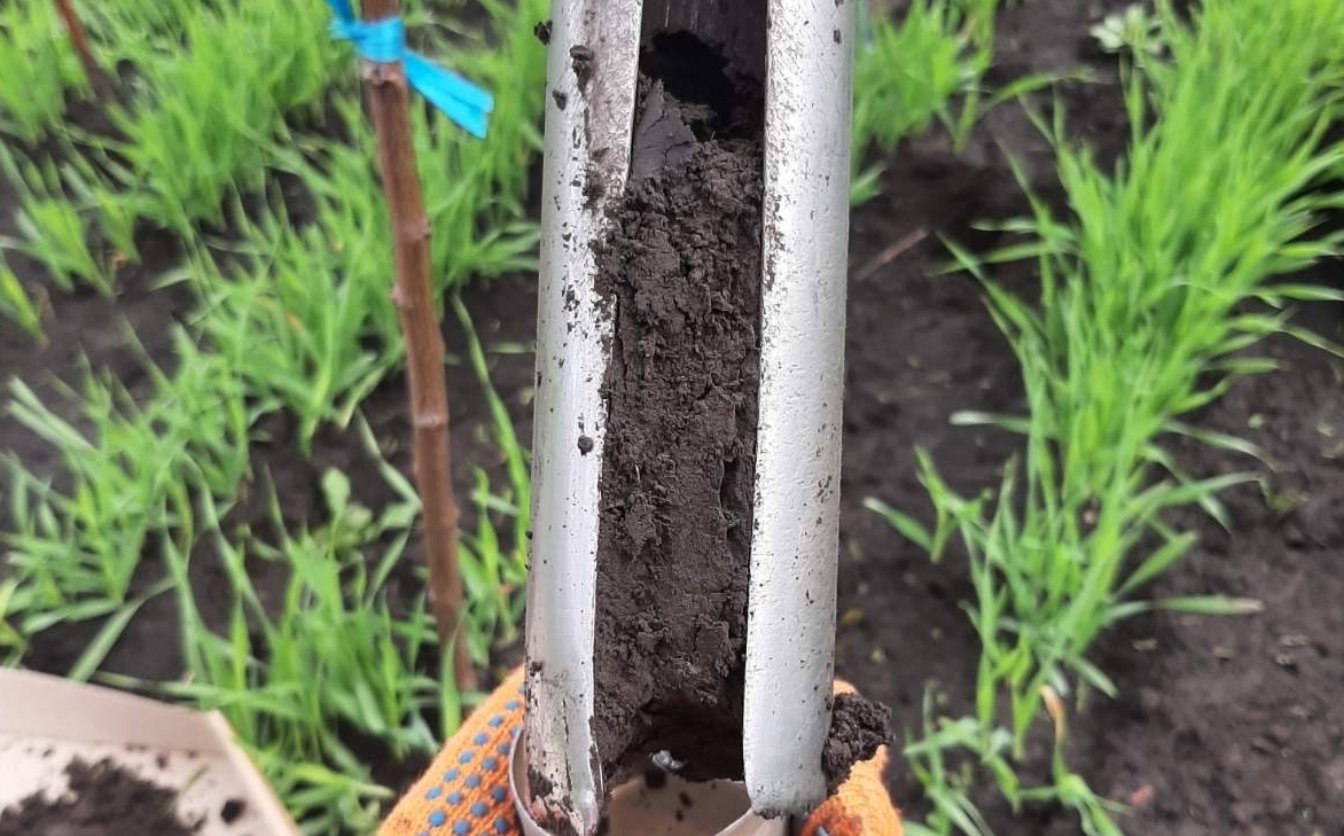 Вологозапаси ґрунту на Черкащині  — найвищі за останні 10 років