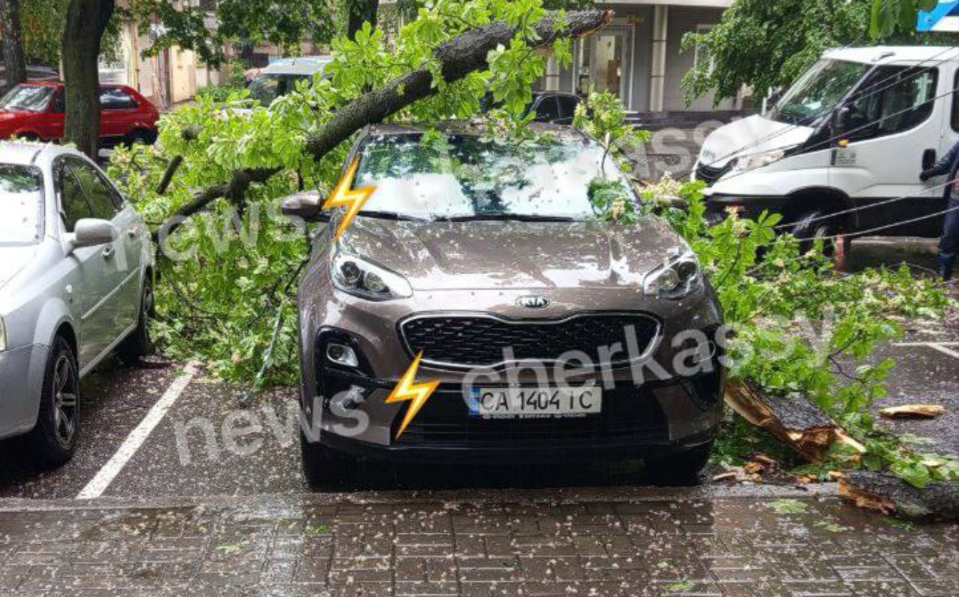 У Черкасах впала гілка з дерева, яка пошкодила дроти й автівки