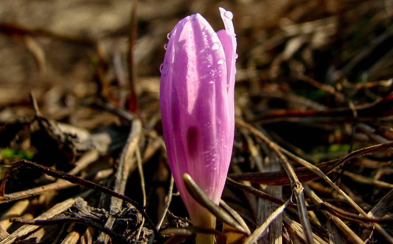 В області створили нові пам’ятки природи