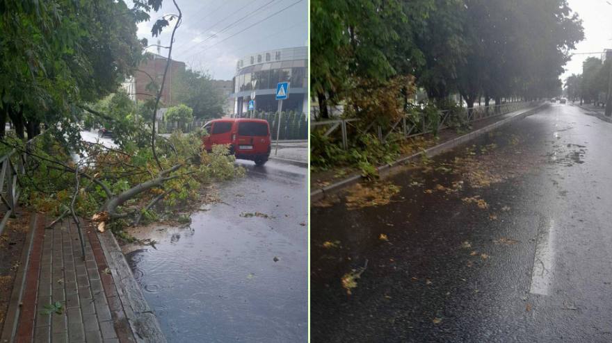 У Черкасах сильна гроза та вітер повалили дерева
