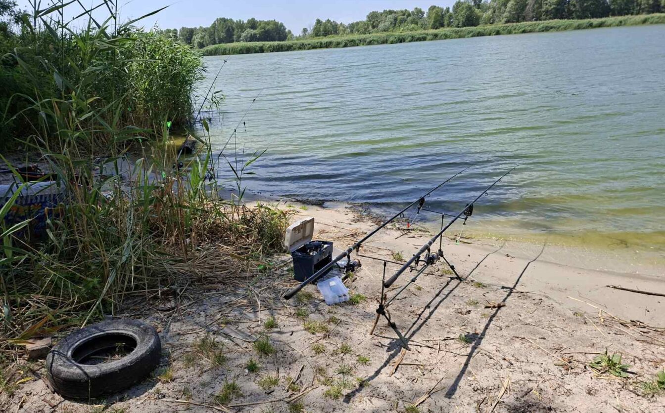 Екологи виявили на Черкащині незаконну вирубку та порушення риболовлі (ФОТО)