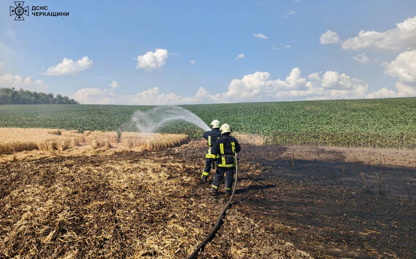 На Черкащині згоріли сім гектарів пшениці