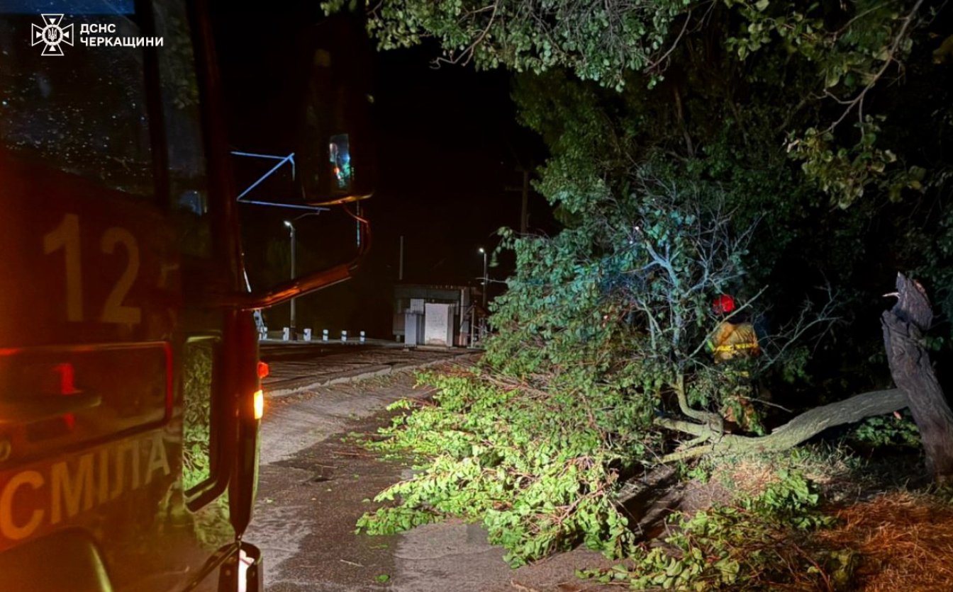 Повалило понад 100 дерев: рятувальники ліквідовують наслідки негоди на Черкащині