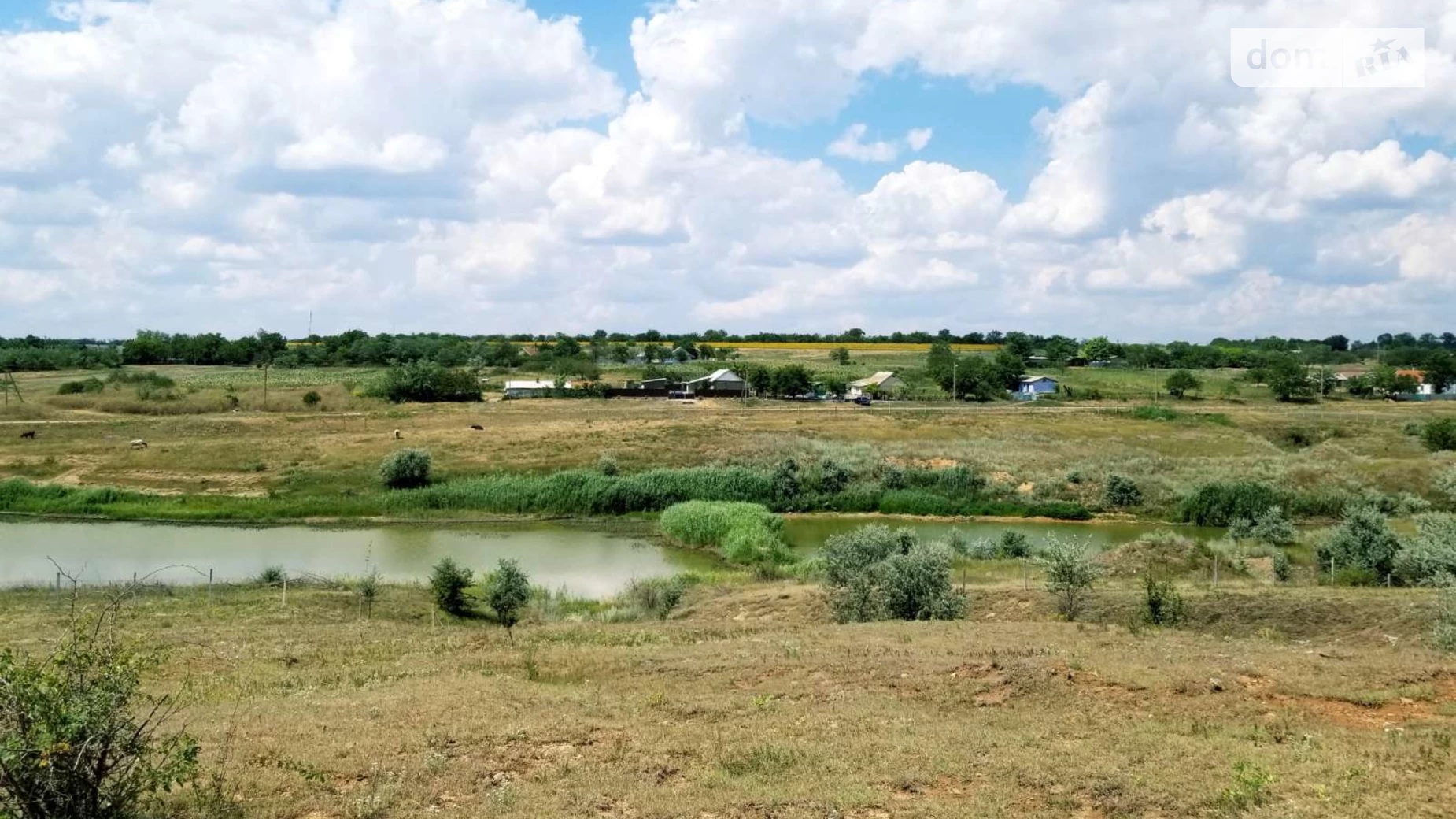 На Золотоніщині у підприємства забрали понад 500 га земель через заборгованість