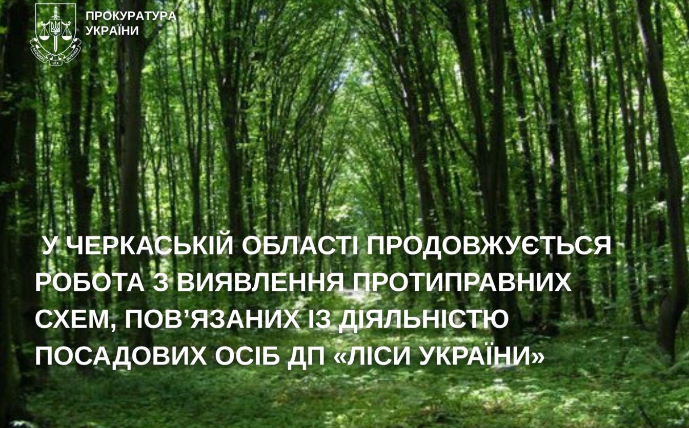 У Черкаській області продовжують виявляти протиправні схеми, пов’язані з діяльністю посадових осіб ДП “Ліси України”