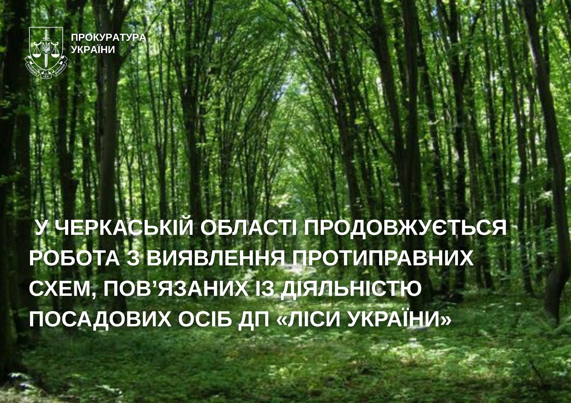 У Черкаській області продовжують виявляти протиправні схеми, пов’язані з діяльністю посадових осіб ДП “Ліси України”